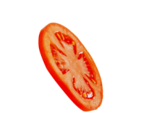 tomato-1-300x279